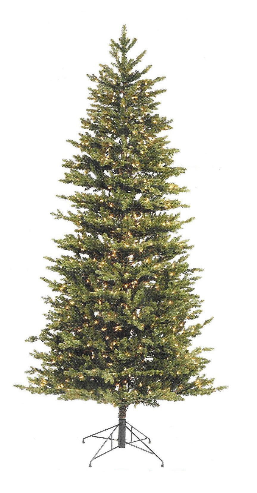 Waseca Frasier Fir