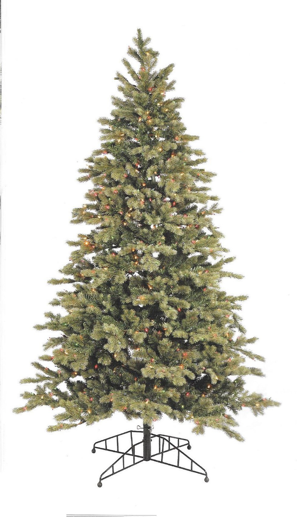 Blue Balsam Fir