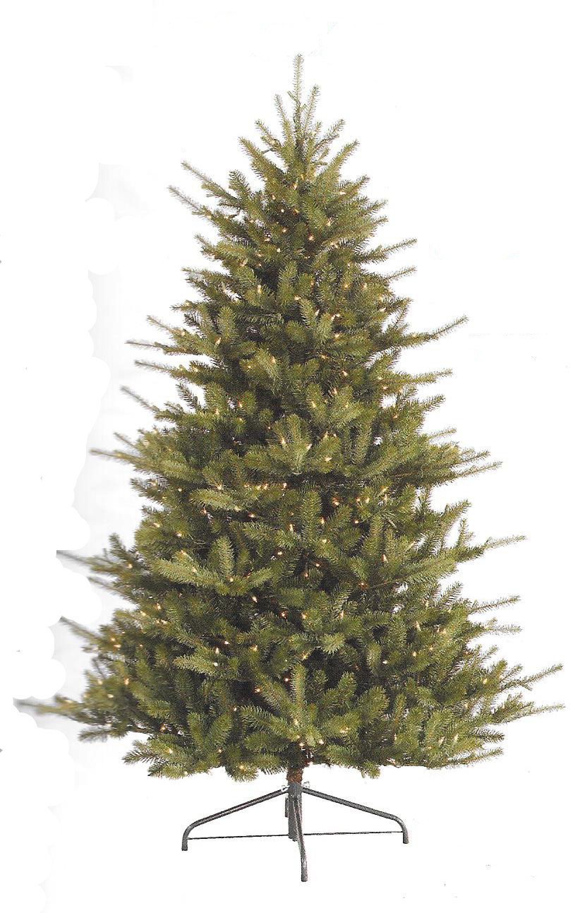 Colorado Spruce - Full