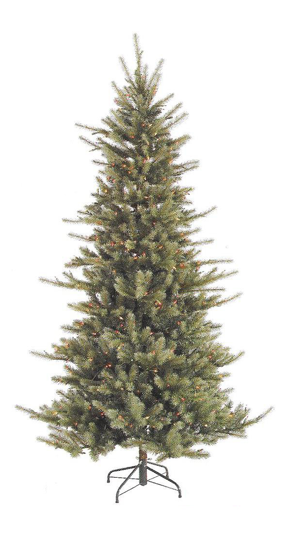 Colorado Spruce - Slim