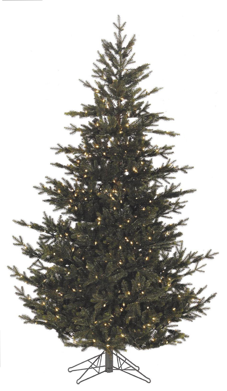 Western Frasier Fir