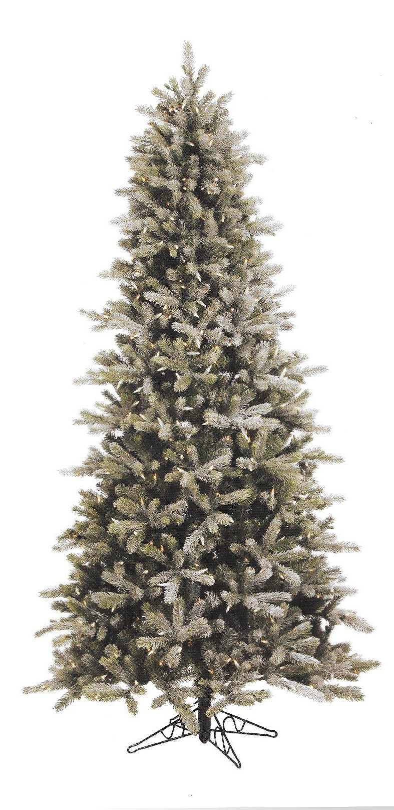 Frosted Frasier Fir