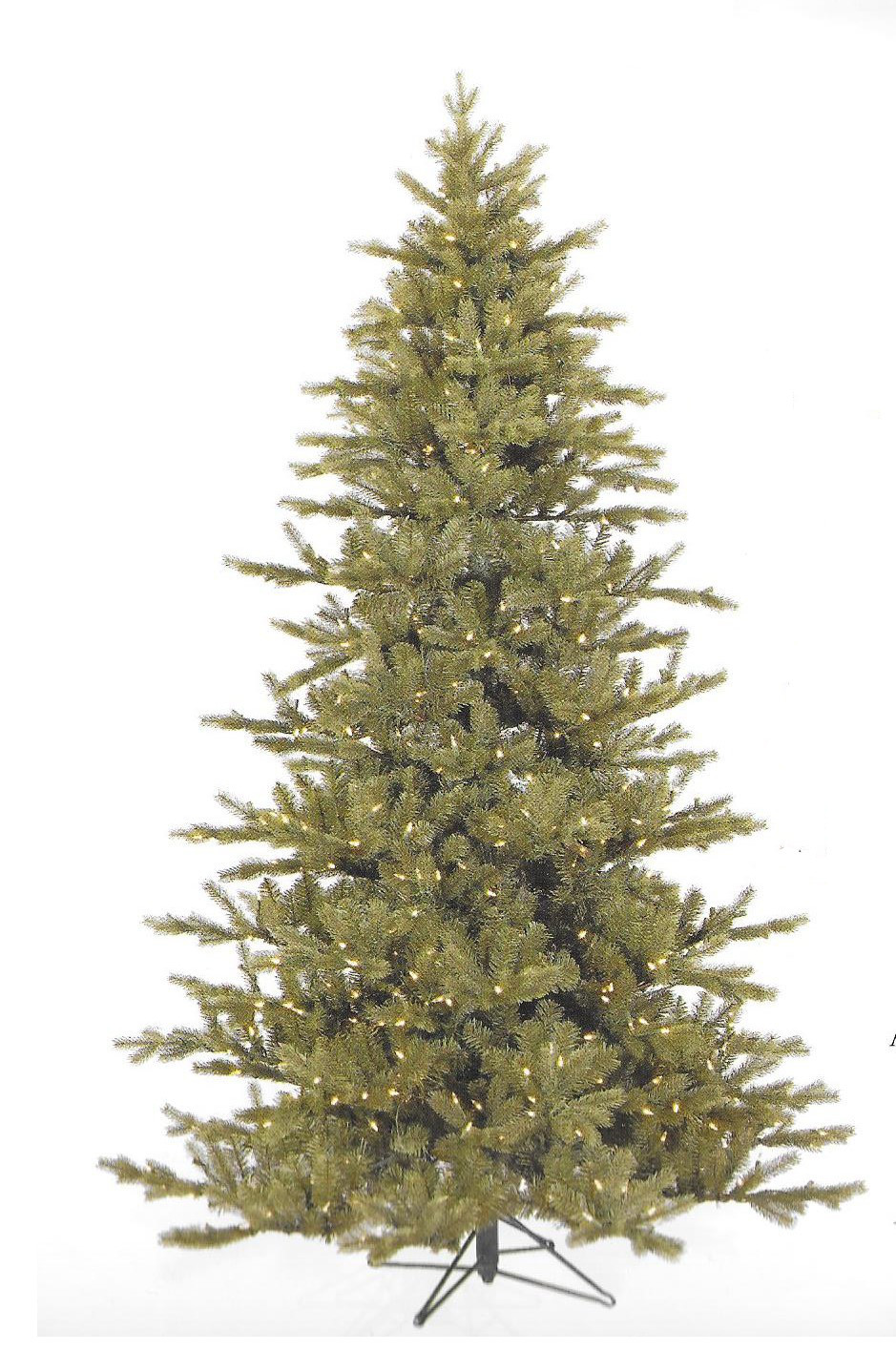 Austrian Fir