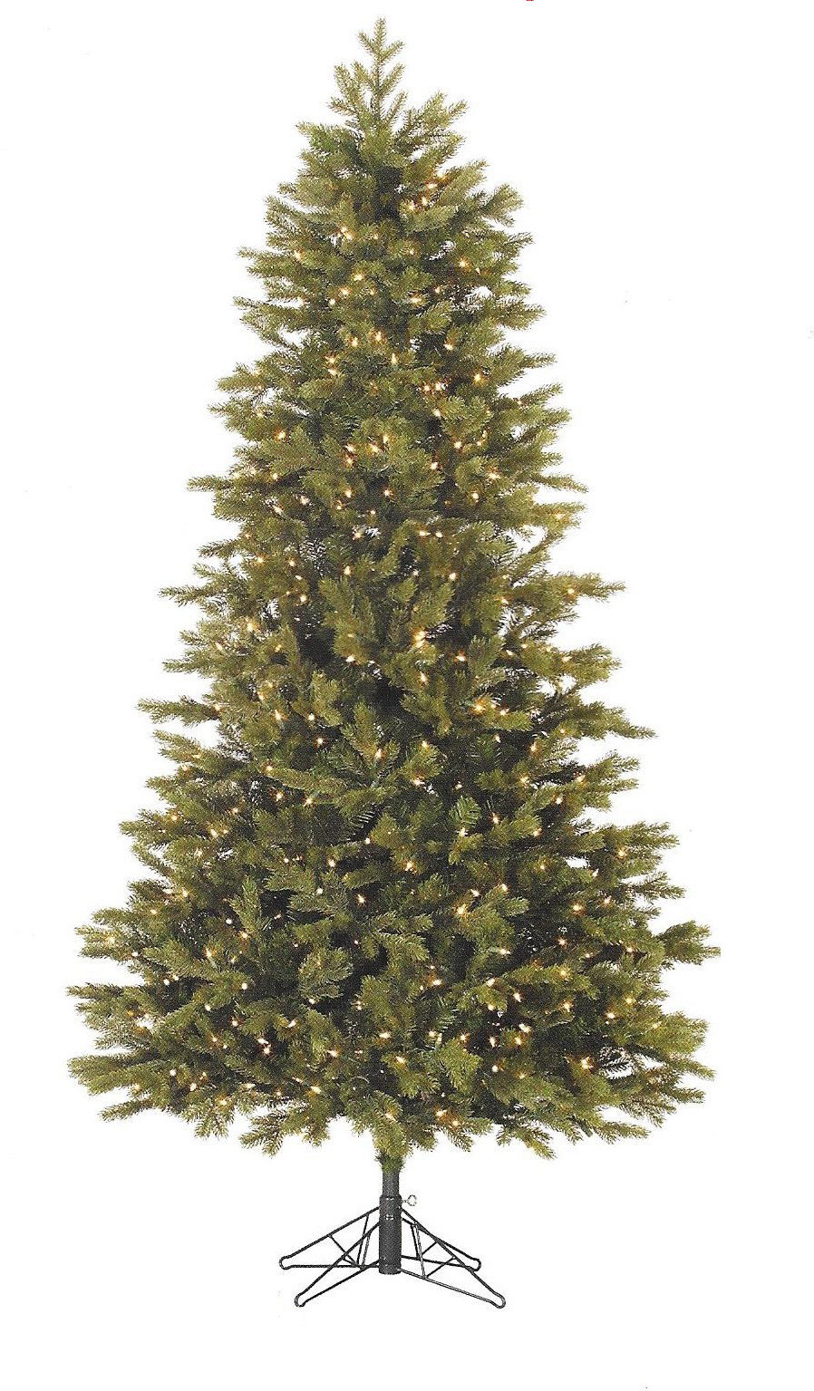 Slim Balsam Fir