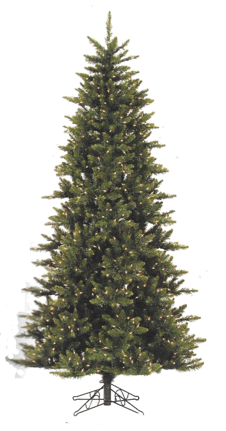 Camdon Fir Series - full tree