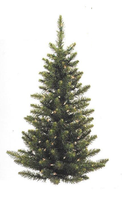 Camdon Fir Series - (small) wall tree