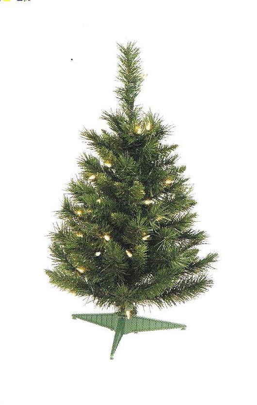 Imperial Pine - 24 inch