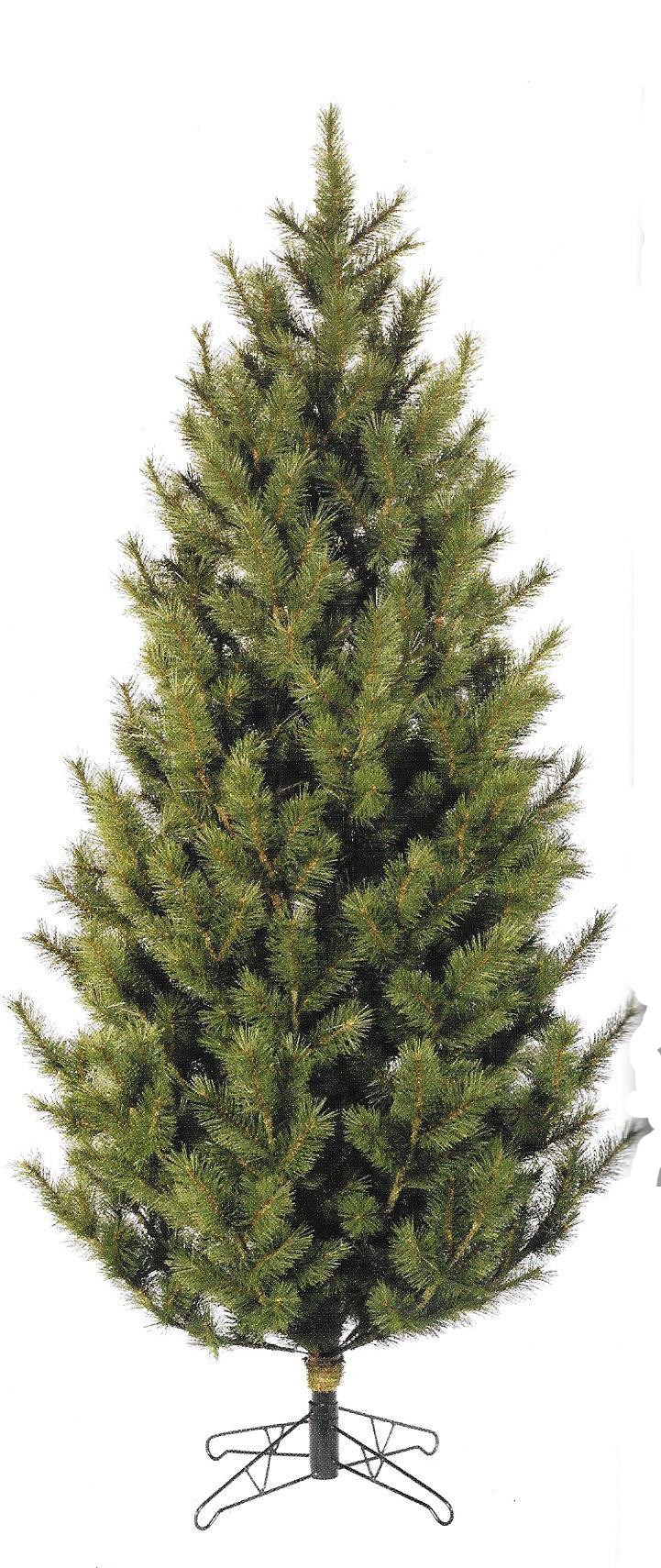 Cayote Pine - Full sized tree