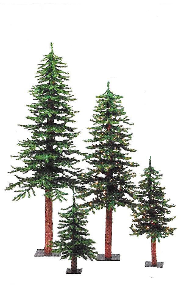 Alpine Trees