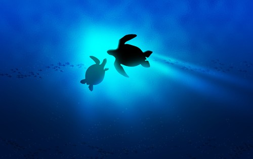 Sea Turtle Into the Deep