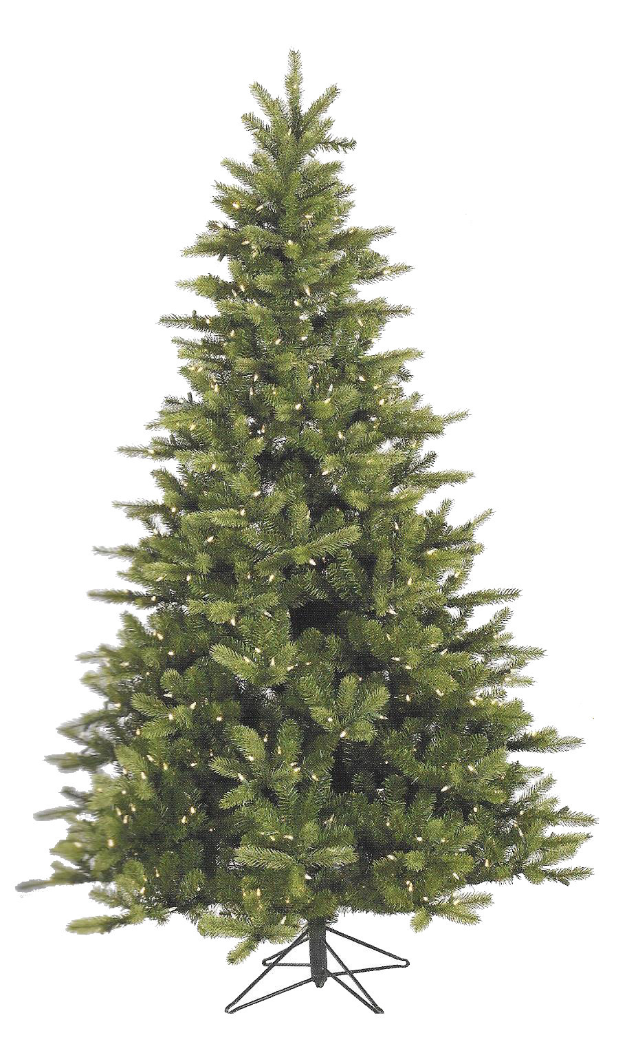King Spruce
